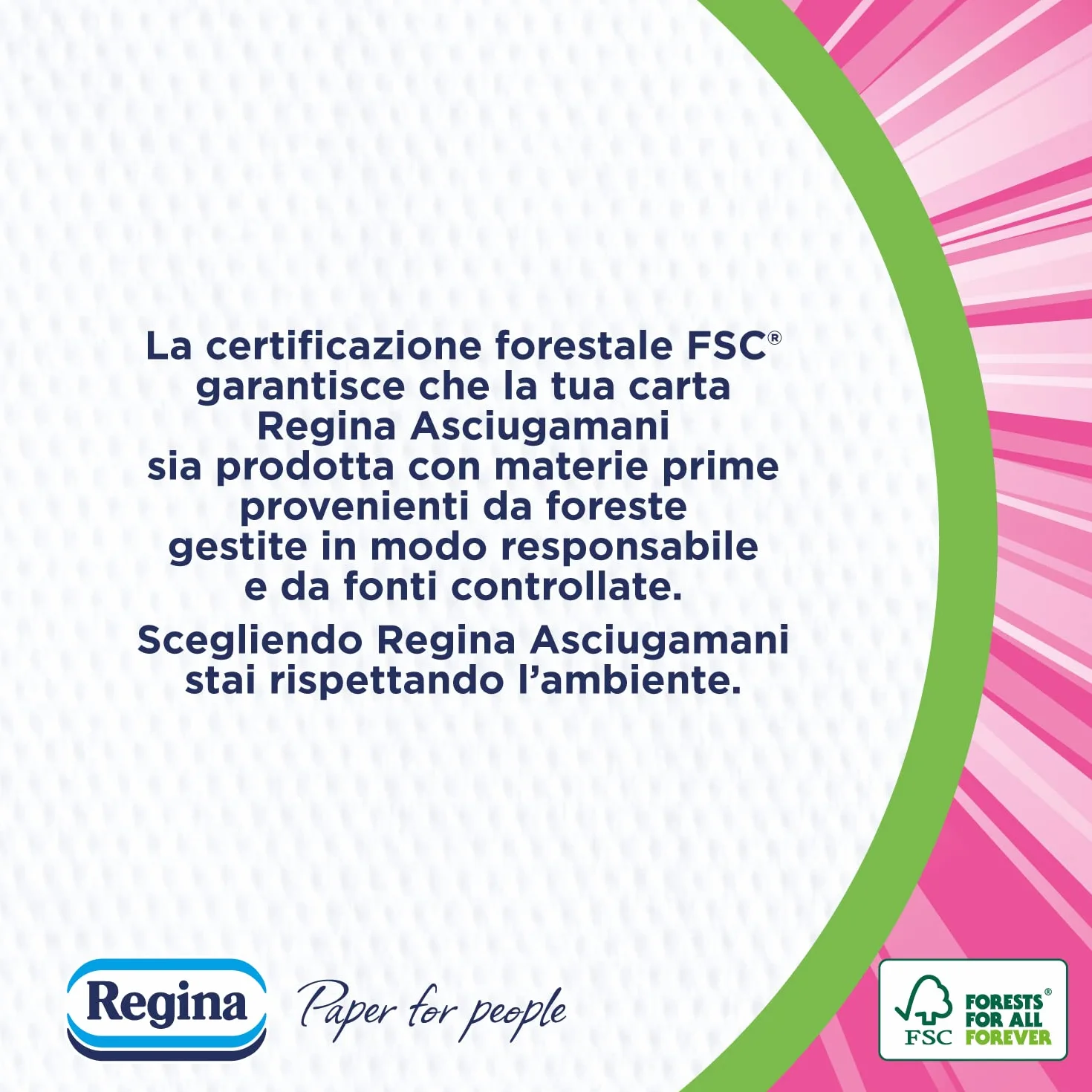 Regina Ręczniki jednorazowe w opakowaniu 100 sztuk, praktyczne i higieniczne ręczniki, 100% celuloza FSC, biodegradowalne, opakowanie dozownika
