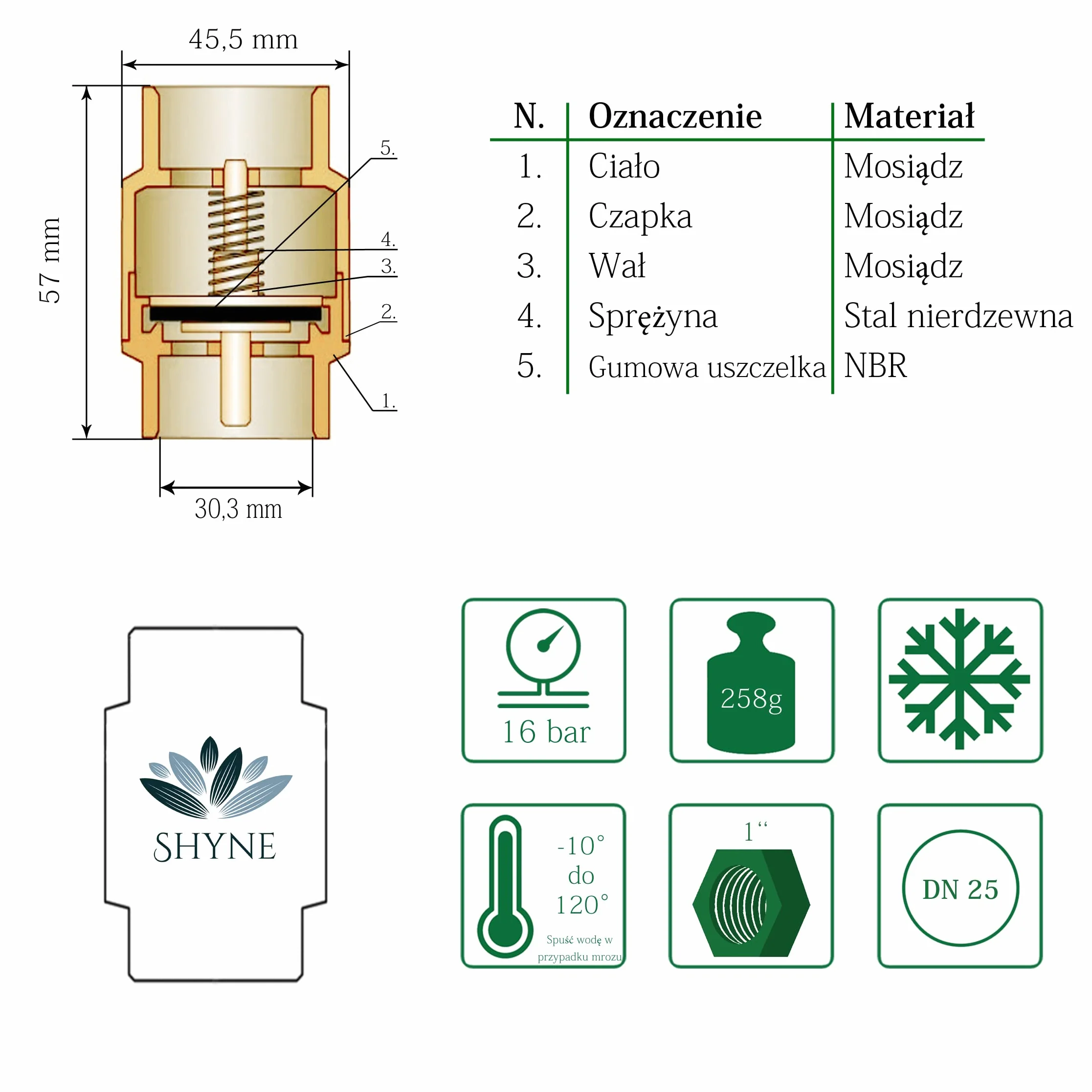 SHYNE Premium 1 calowy zawór zwrotny wykonany z wysokiej jakości mosiądzu, wytrzymały, odporny na rdzę i wodoodporny do pomp, fontann, pralek, ogrodów, deszczowni, beczek