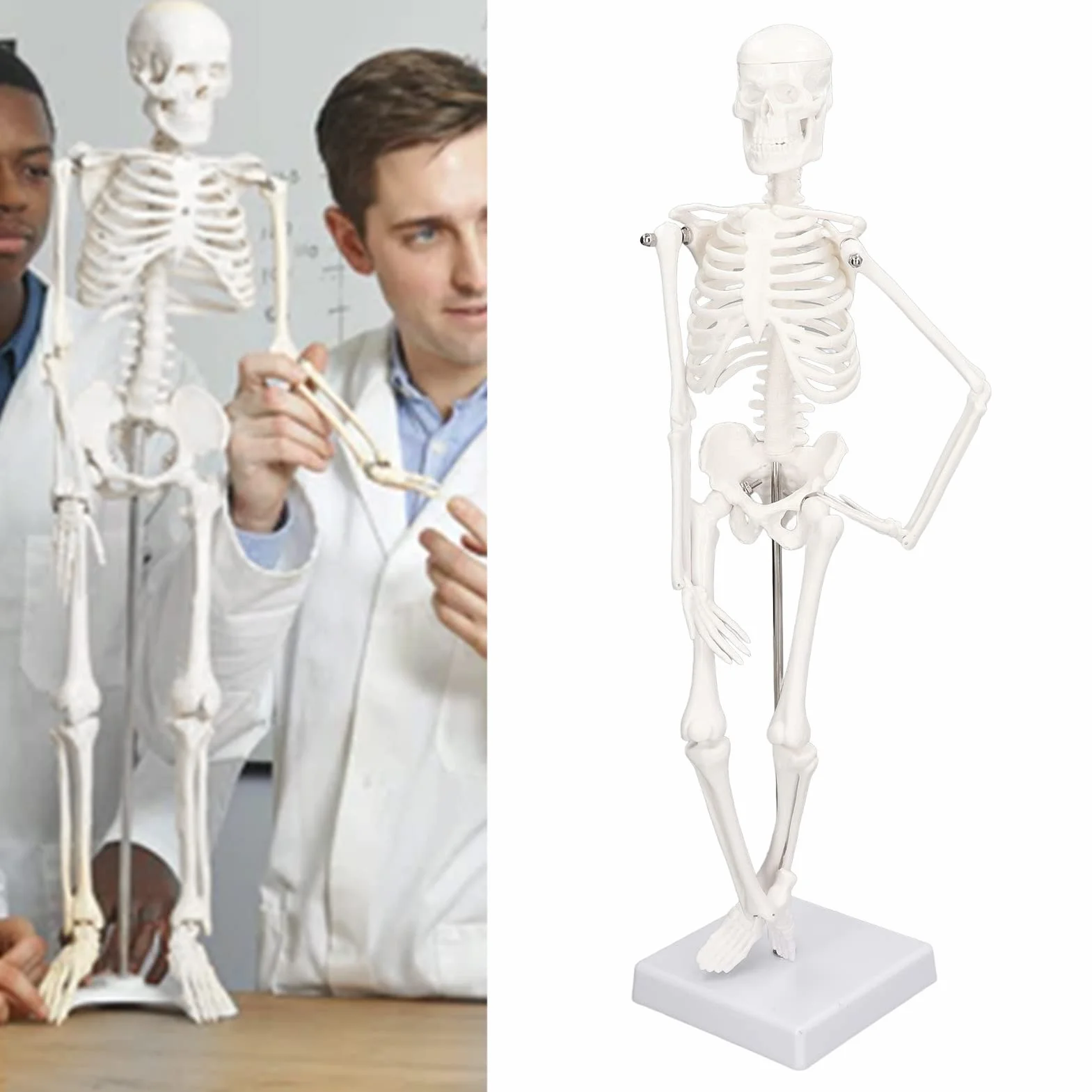 Mini Model Szkieletu Człowieka, Anatomiczny Model Szkieletu Medycznego, 45cm/ 17.7in Mini Model Człowieka z PVC z Pełną Strukturą Kości z Ruchomymi Ramionami, Nogami i Stojakiem do Nauczania