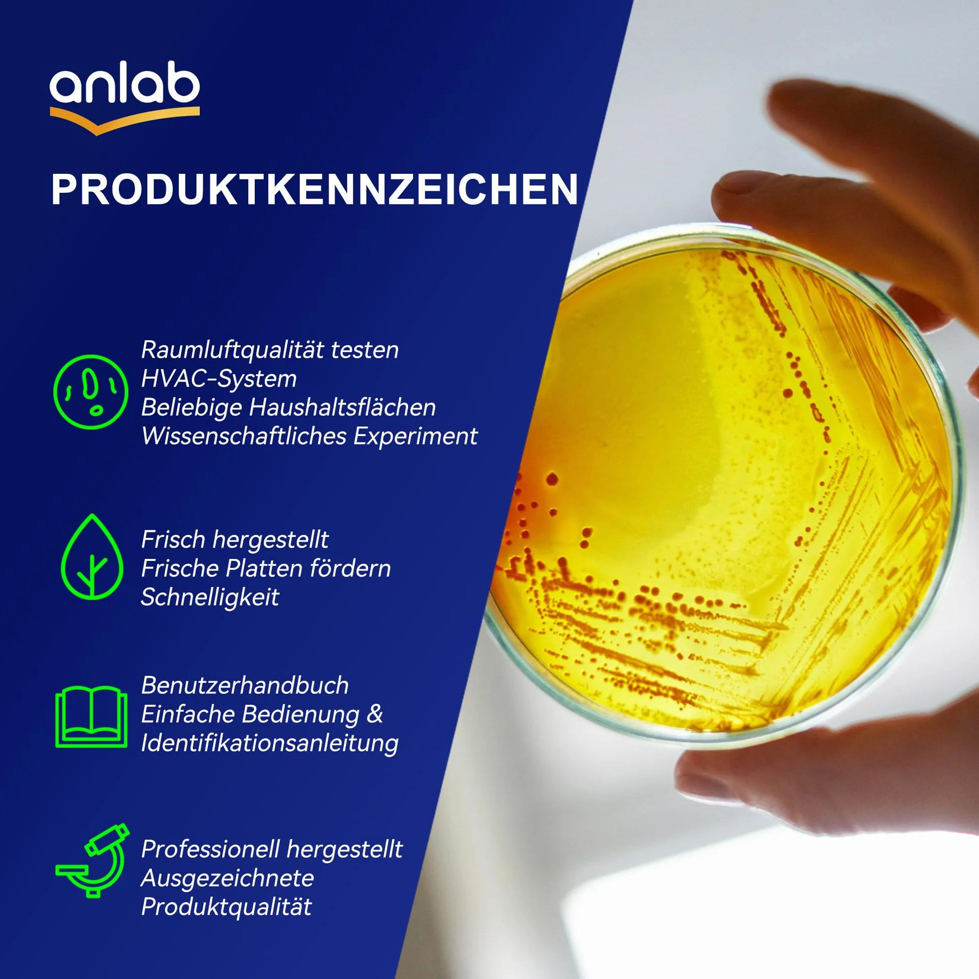 Zestaw do nauki o bakteriach Nutrient Agar Petri Dishes z wacikami bawełnianymi (10 sztuk)
