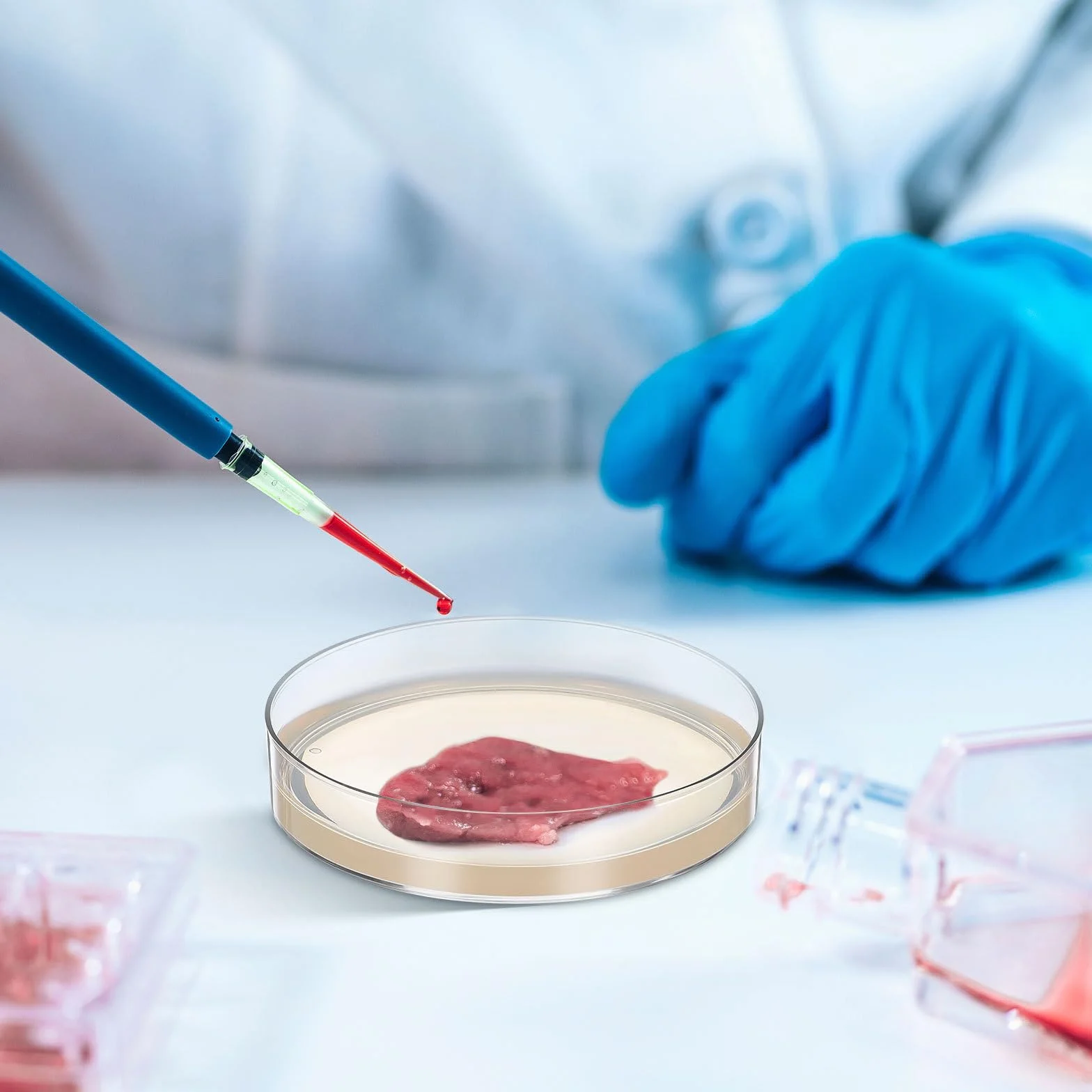 Hohopeti 10 Szt. Sztuk Wstępnie Wylanych Szalek Petriego Gotowe Płytki Agarowe Do Mikrobiologii Precyzyjne Naczynia Do Hodowli Bakterii dla Edukacji i Badań Naukowych