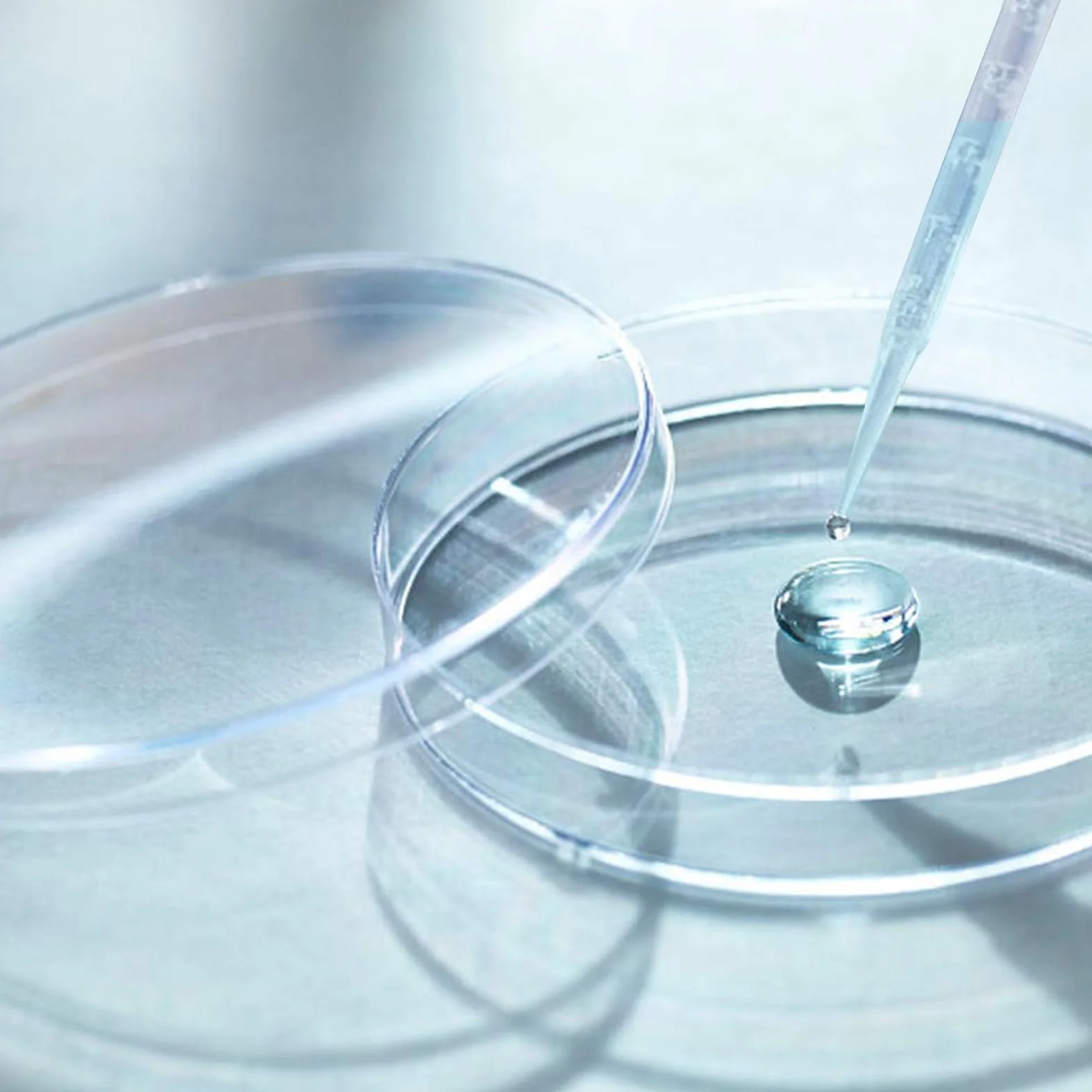 Sterylne szalki Petriego 60 mm z tworzywa sztucznego z pokrywką zestaw 40 sztuk z 20 pipetami
