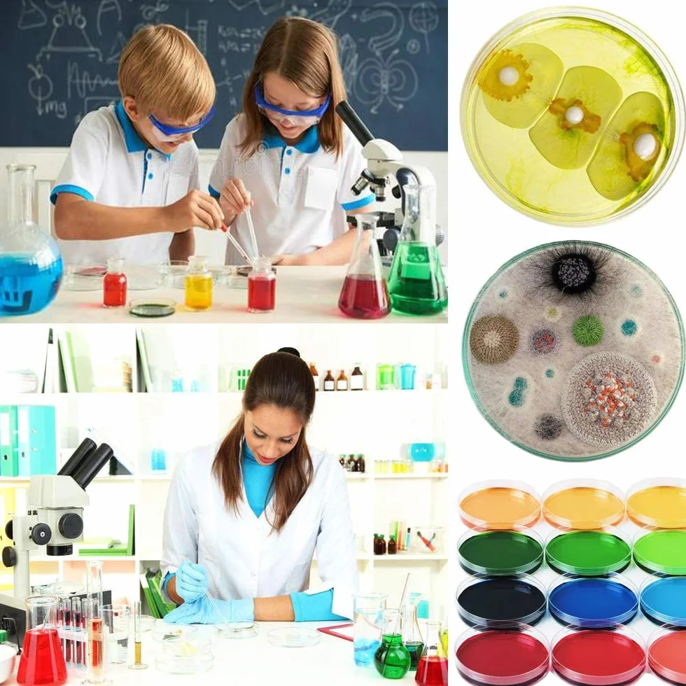 LATRAT 20 szt. Petri Dishes, sterylne plastikowe szalki Petriego, Petri steriles w/pokrywki do laboratorium hodowli komórek tkankowych, 90 mm