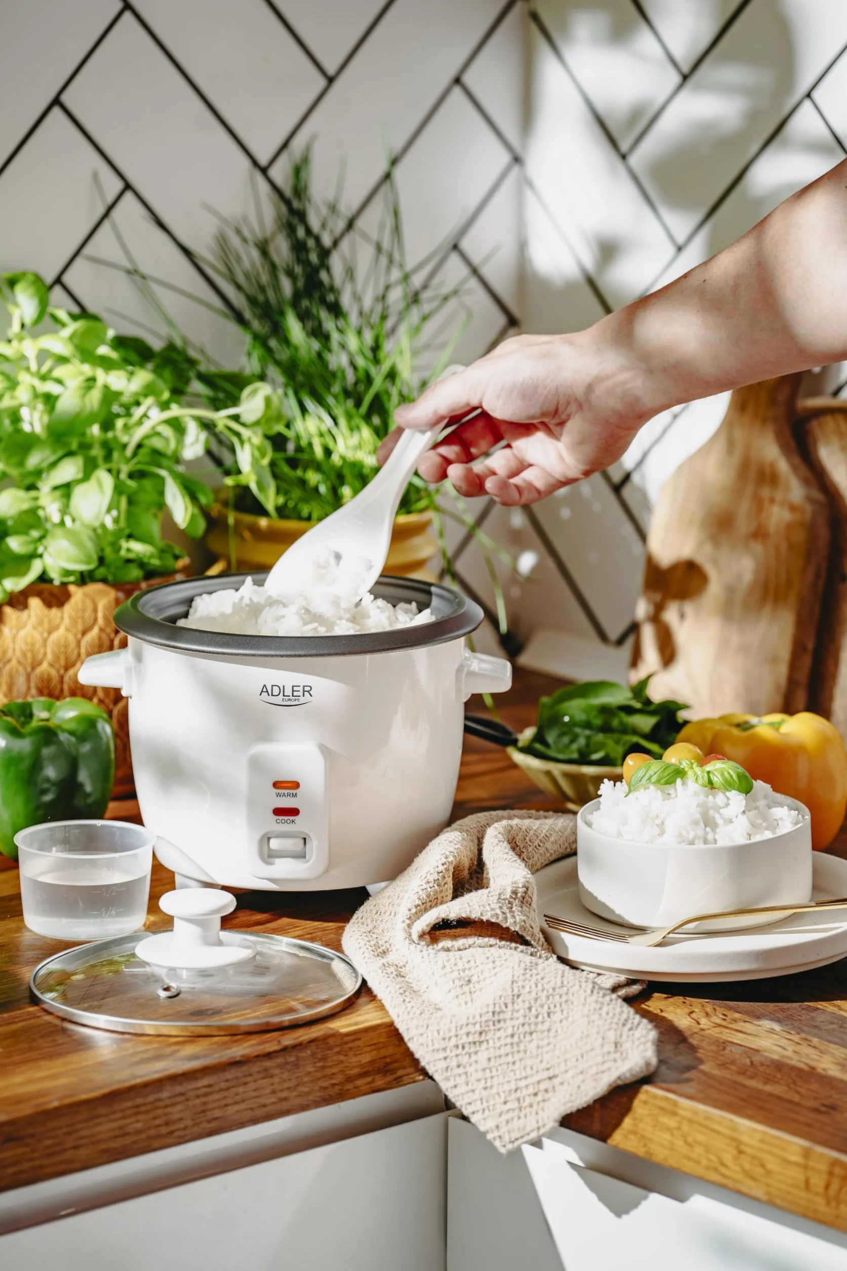 ADLER EUROPE AD 6418 Kompaktowy Ryżowar 0,6L Nieprzywierający Szklaną Pokrywką Biały