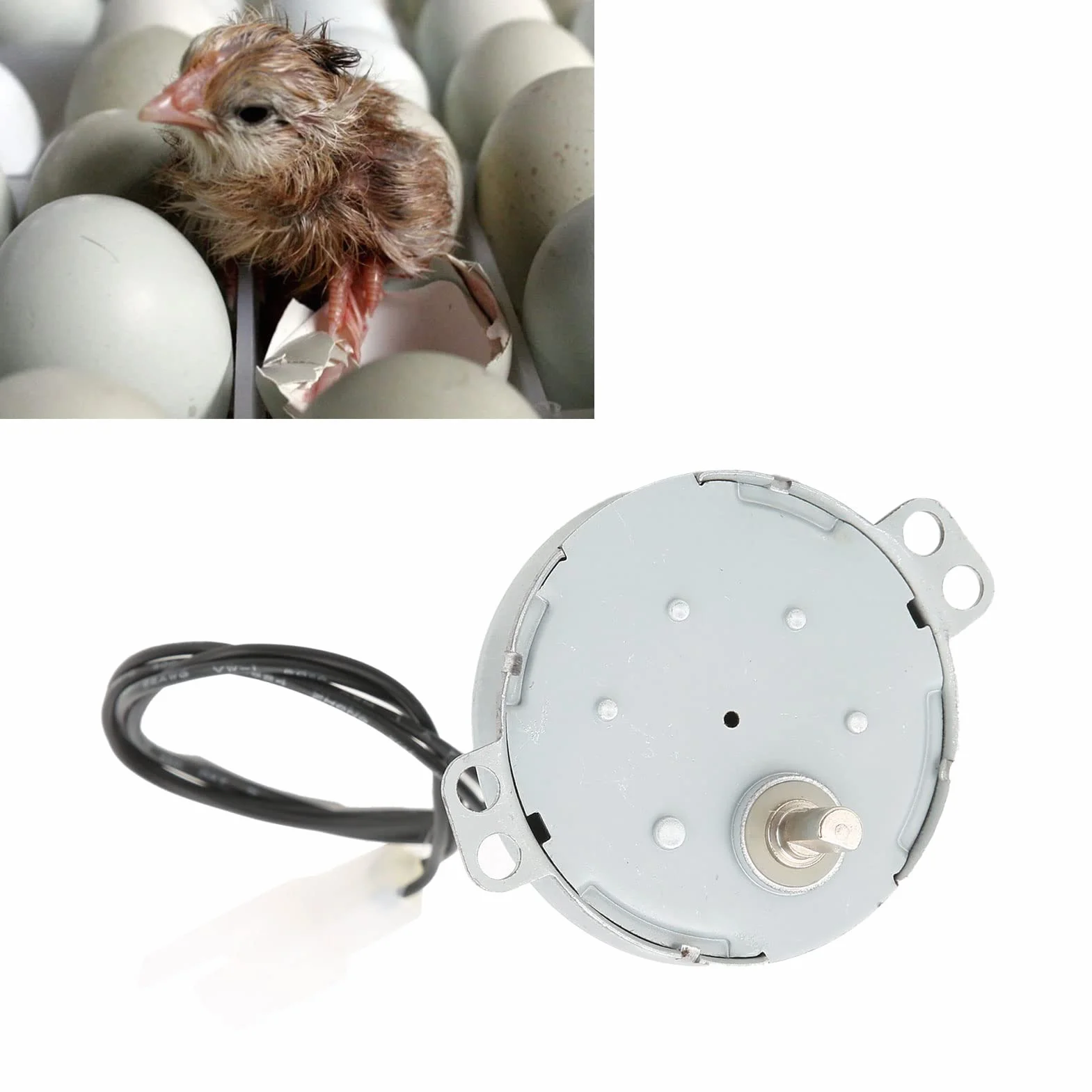 Silnik inkubatora jaj, silnik inkubatora automatycznego 12 V Mini inkubator z silnikiem obracającym jaja o niskiej prędkości obrotowej System obracania jaj Akcesoria do inkubatora (poniżej 110 V)