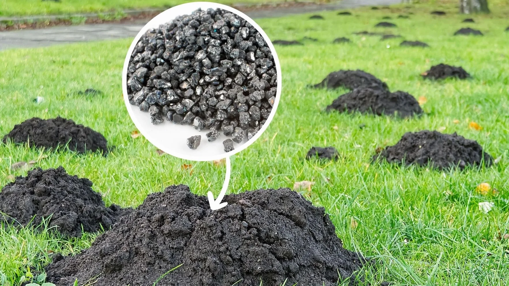 Węglik wapnia 1 kg 7-15 mm BIOMUS