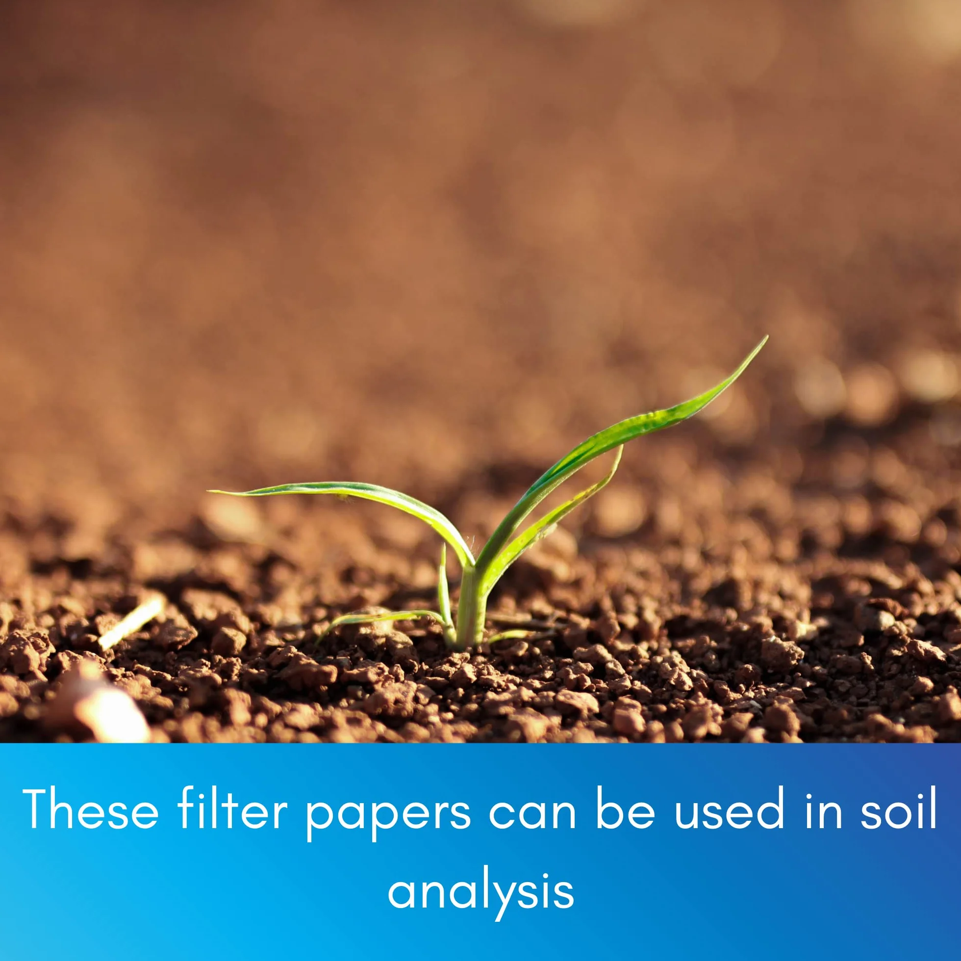 1171052 rodzaj 601 [1] uniwersalny papier filtracyjny, średnia prędkość filtracji, średnica 55 mm (opakowanie 100 sztuk)