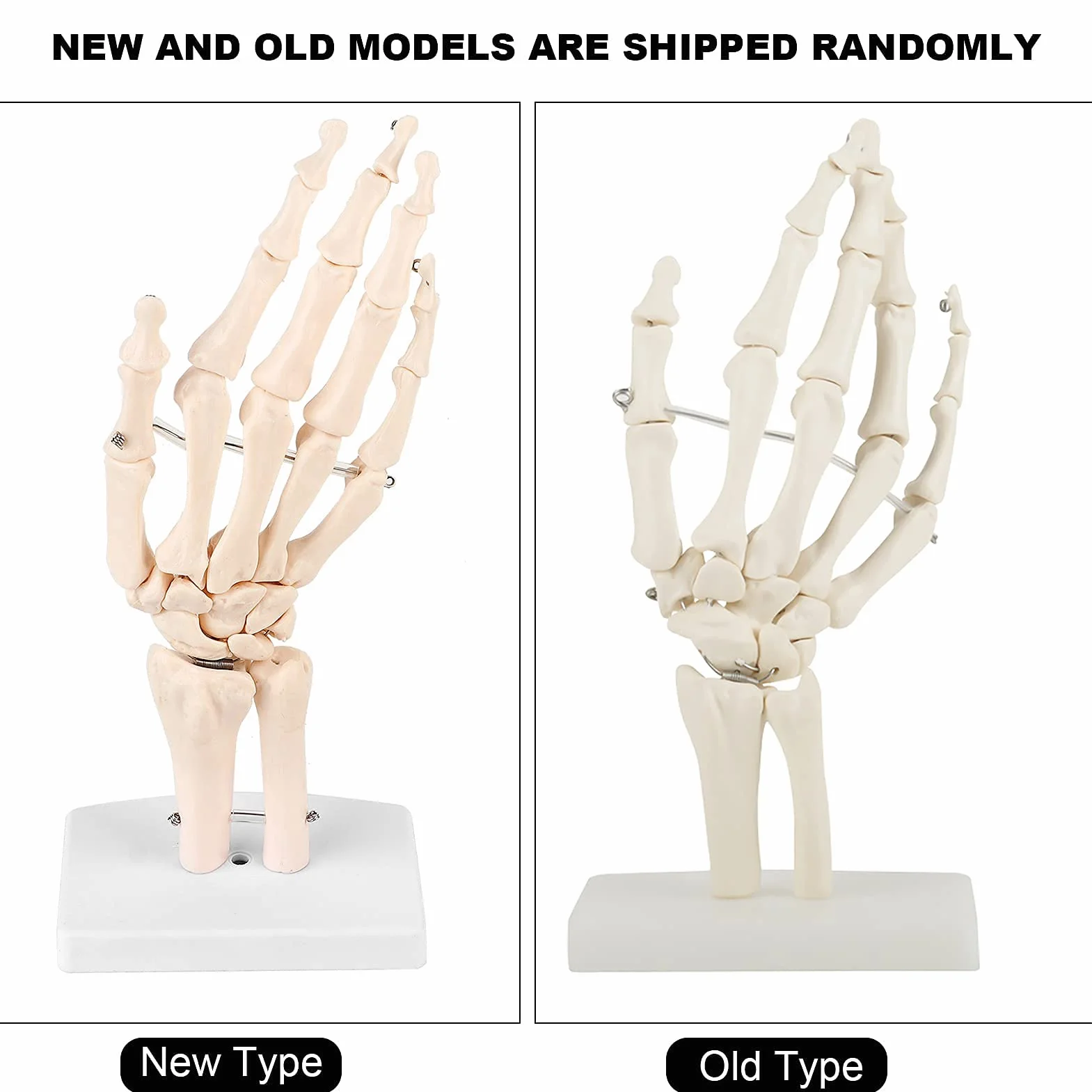 Model szkieletu ludzkiej dłoni i nadgarstka, medyczny anatomiczny model szkieletu ludzkiego nadgarstka 1:1 dla szkół szpitalny sprzęt laboratoryjny