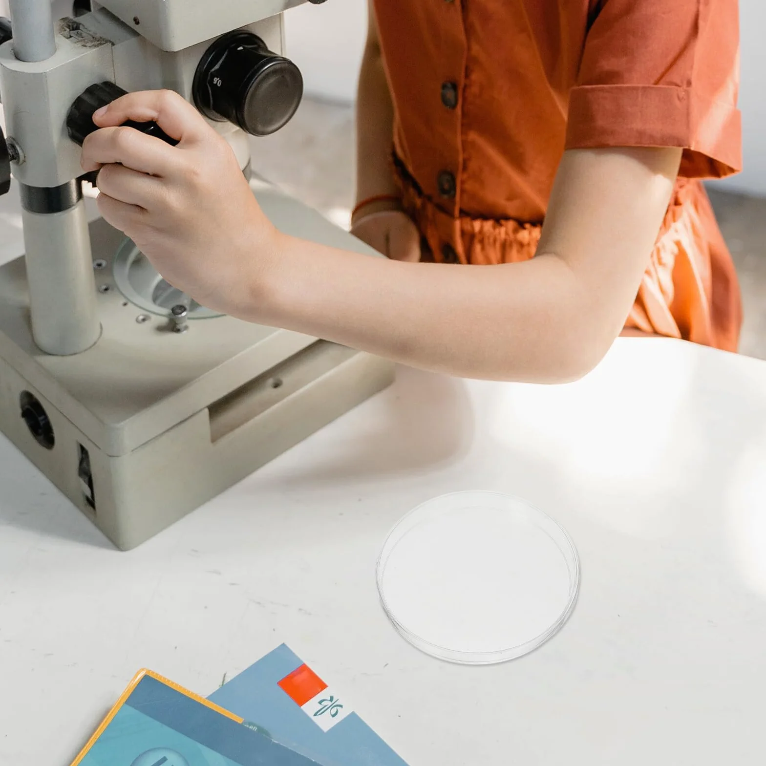 Hohopeti 10 Szt. Plastikowych Misek Petriego z Pokrywką Przezroczyste Naczynia Laboratoryjne Do Hodowli Tkanek