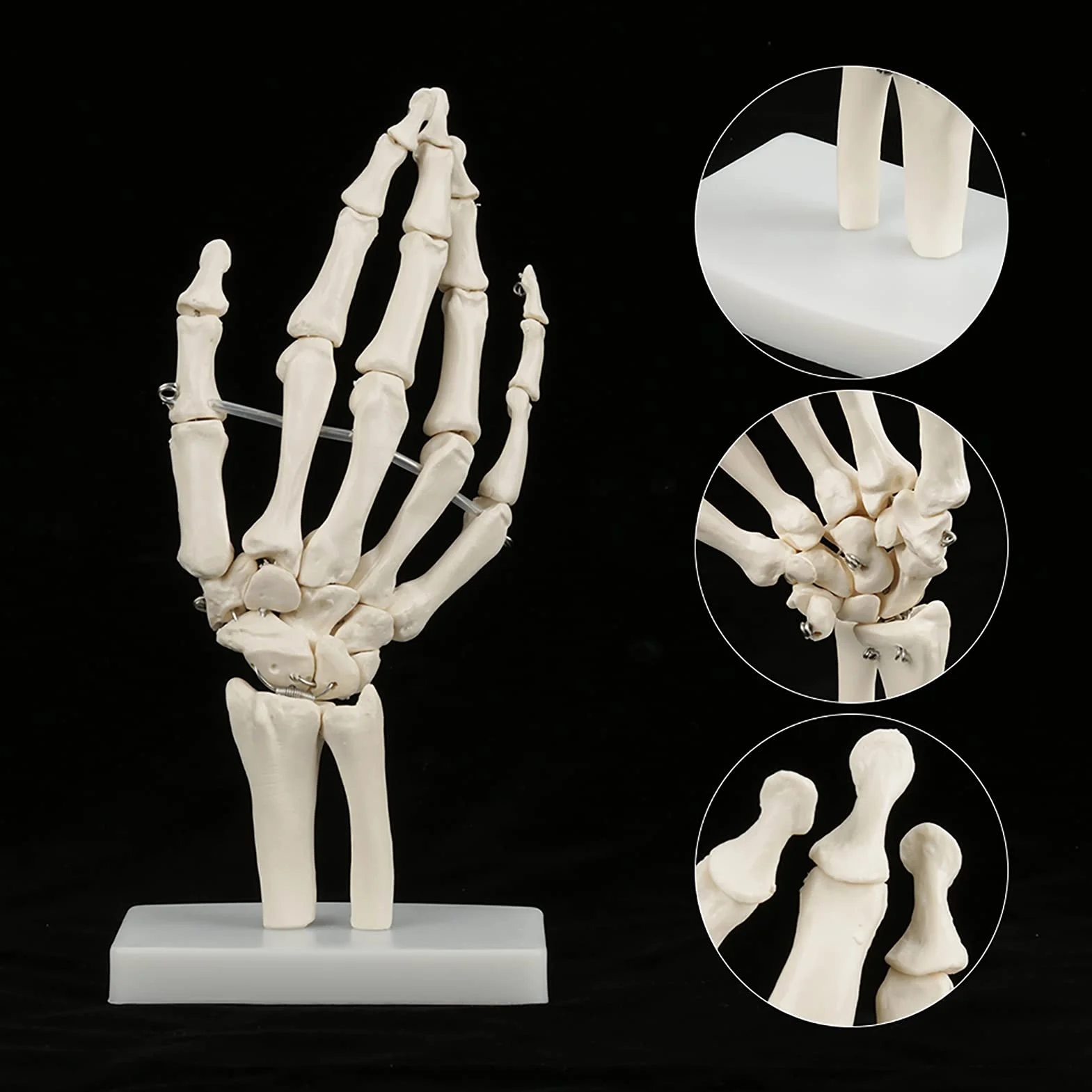 Model szkieletu ludzkiej dłoni i nadgarstka, medyczny anatomiczny model szkieletu ludzkiego nadgarstka 1:1 dla szkół szpitalny sprzęt laboratoryjny