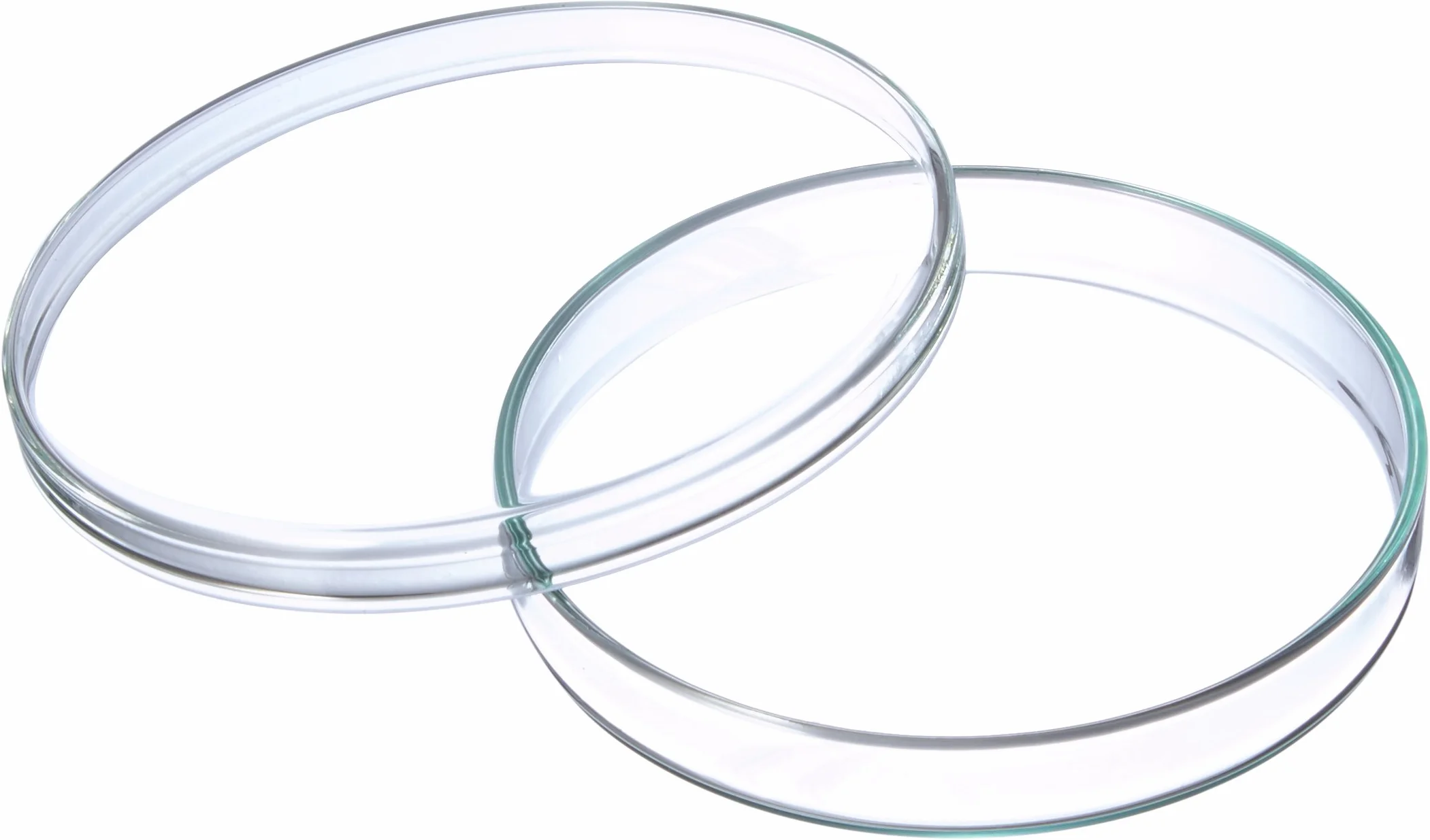 neoLab Szkło borokrzemowe miseczki Petriego średnica 100 mm wysokość 15 mm 5 sztuk