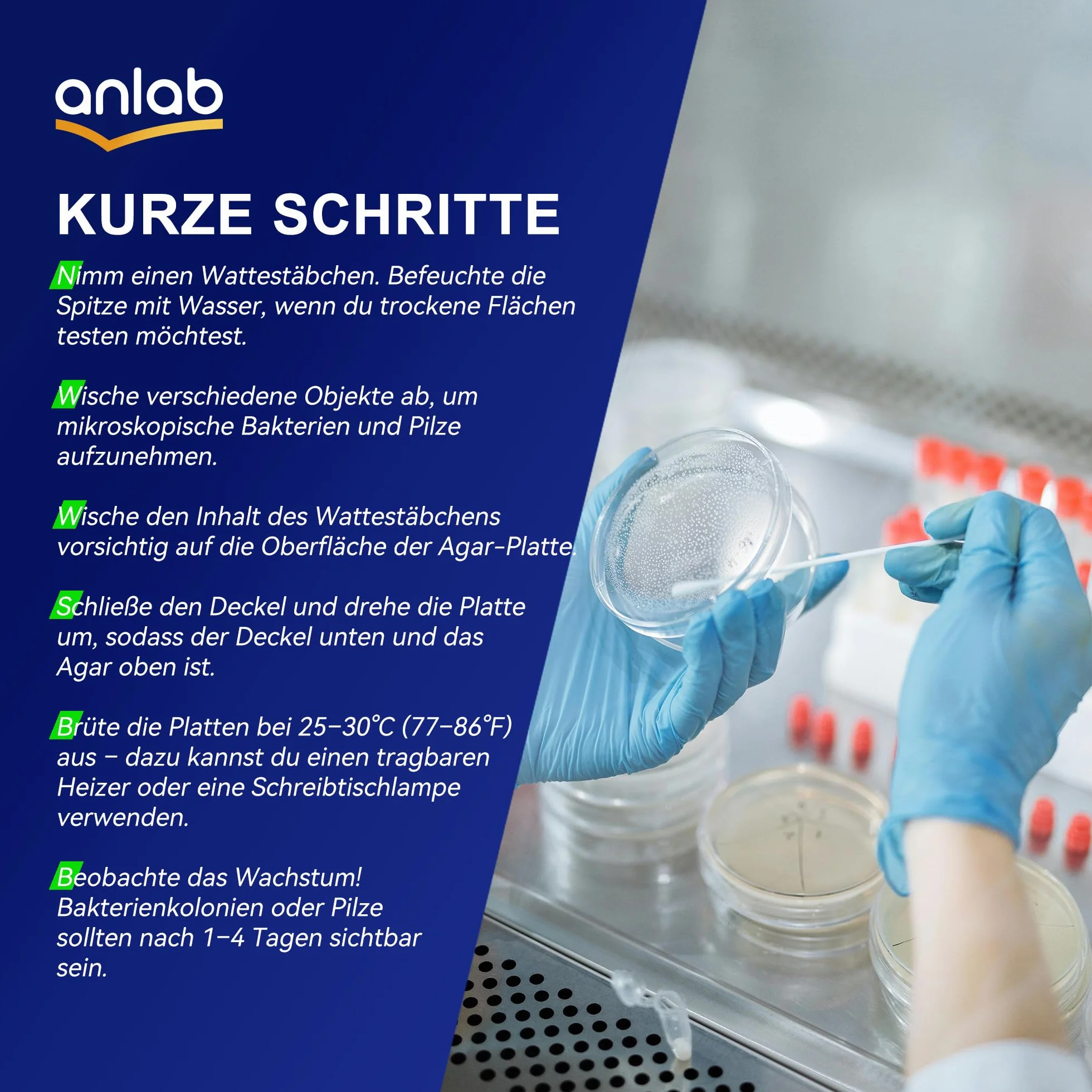Zestaw do nauki o bakteriach Nutrient Agar Petri Dishes z wacikami bawełnianymi (10 sztuk)