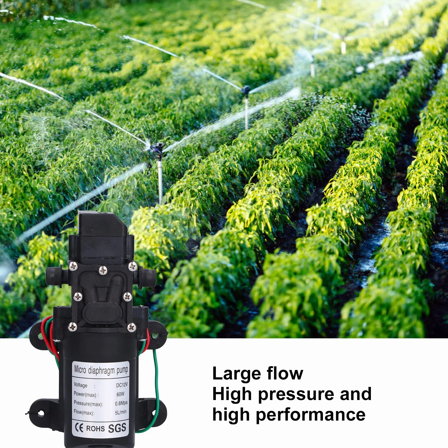 Pompa membranowa 12V 60W 5L/min 0.8Mpa Samozasysająca do nawadniania ogrodu