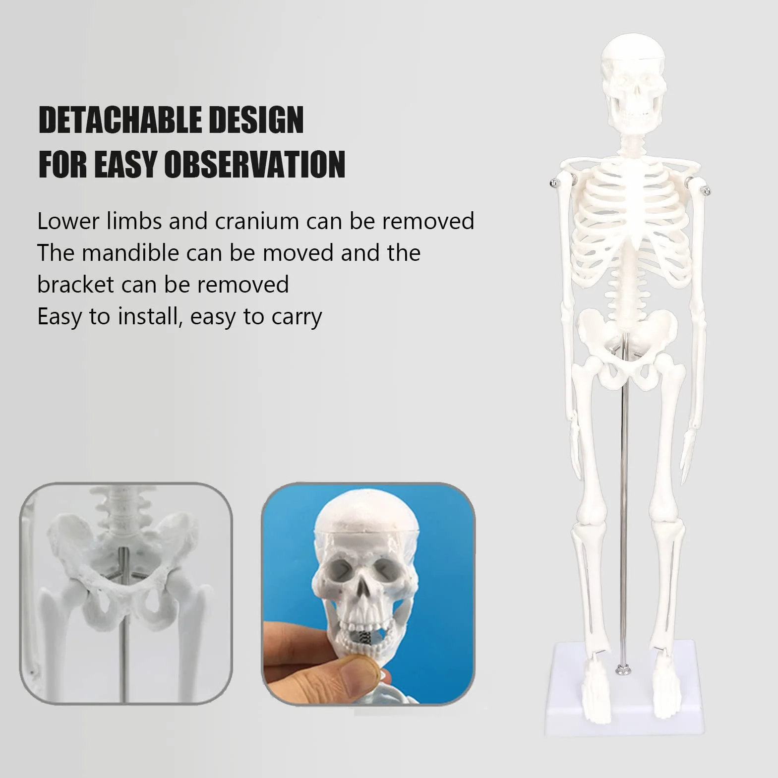Mini Model Szkieletu Człowieka, Anatomiczny Model Szkieletu Medycznego, 45cm/ 17.7in Mini Model Człowieka z PVC z Pełną Strukturą Kości z Ruchomymi Ramionami, Nogami i Stojakiem do Nauczania