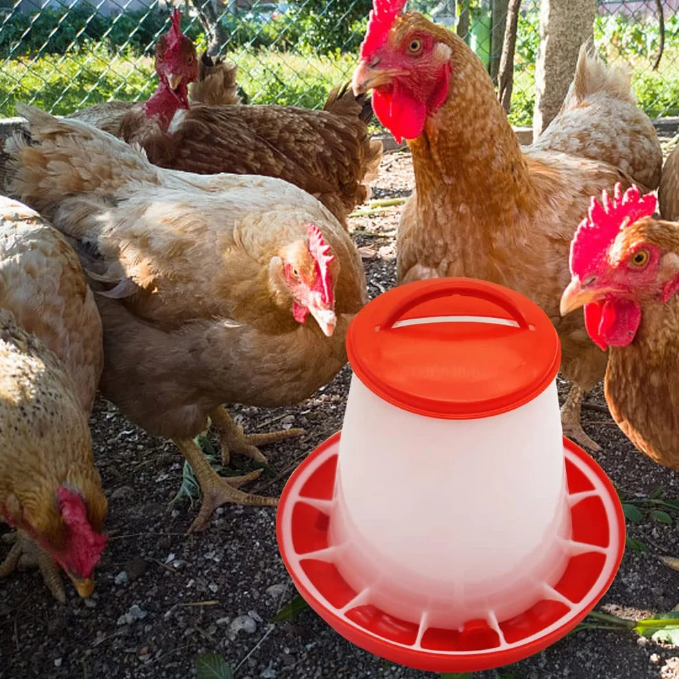 Plastikowy zestaw poidła i dozownika karmy dla drobiu 1,5 l 1,5 kg