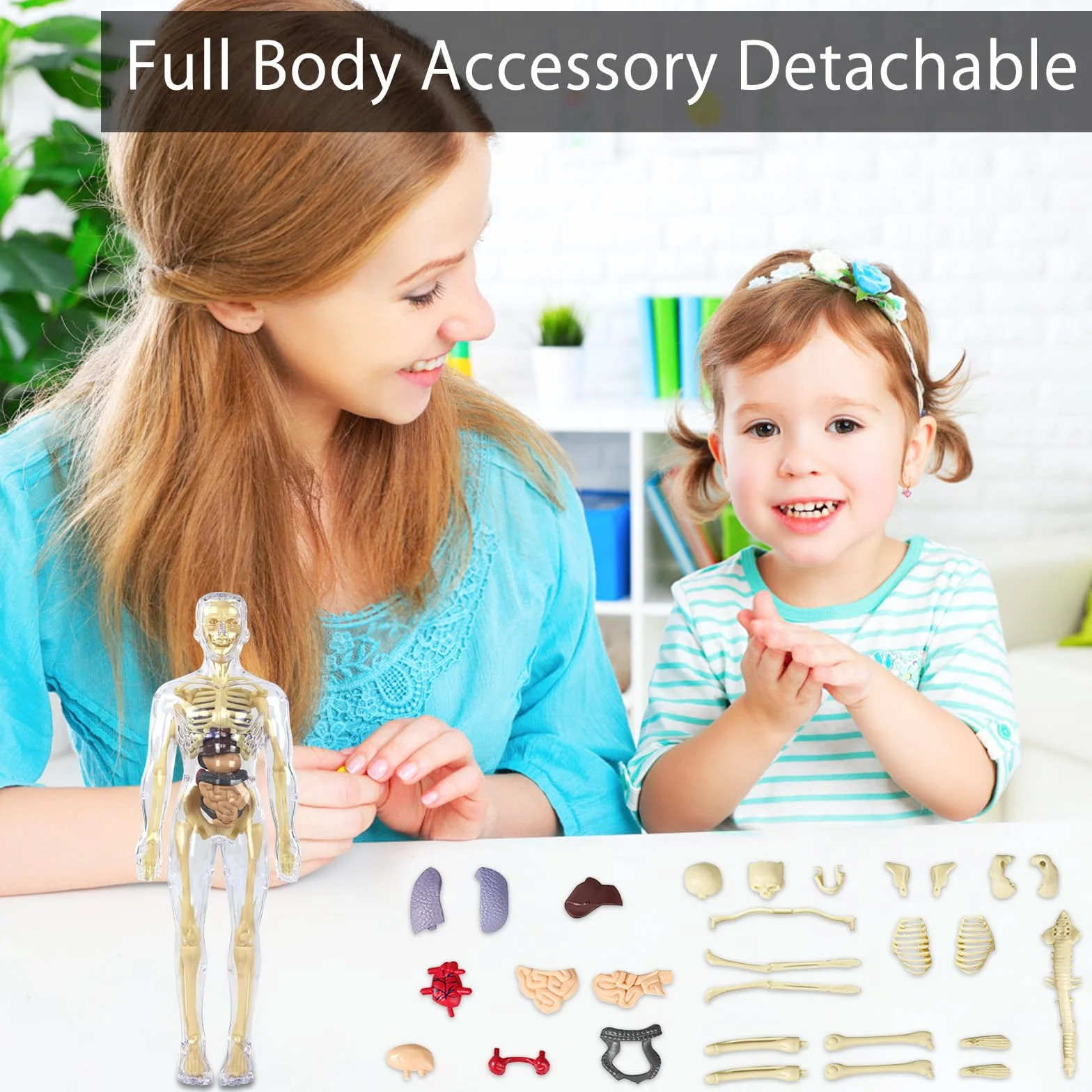 Model 3D ludzkiego ciała dla dzieci, model anatomiczny ciała, model anatomiczny, model szkieletu, model nauczania ludzkiego ciała, model szkieletu, model szkieletu ludzkiego