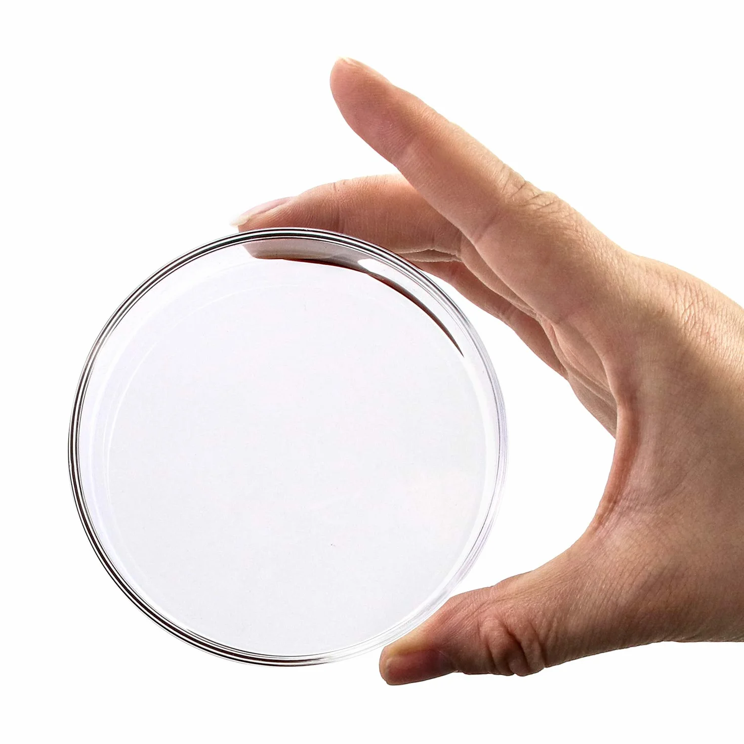 QWORK® Szklane szalki Petriego z pokrywką, wysokie szkło borokrzemianowe Sterylizowane szalki Petriego do hodowli laboratoryjnej, 90mm x 20mm, 5 sztuk