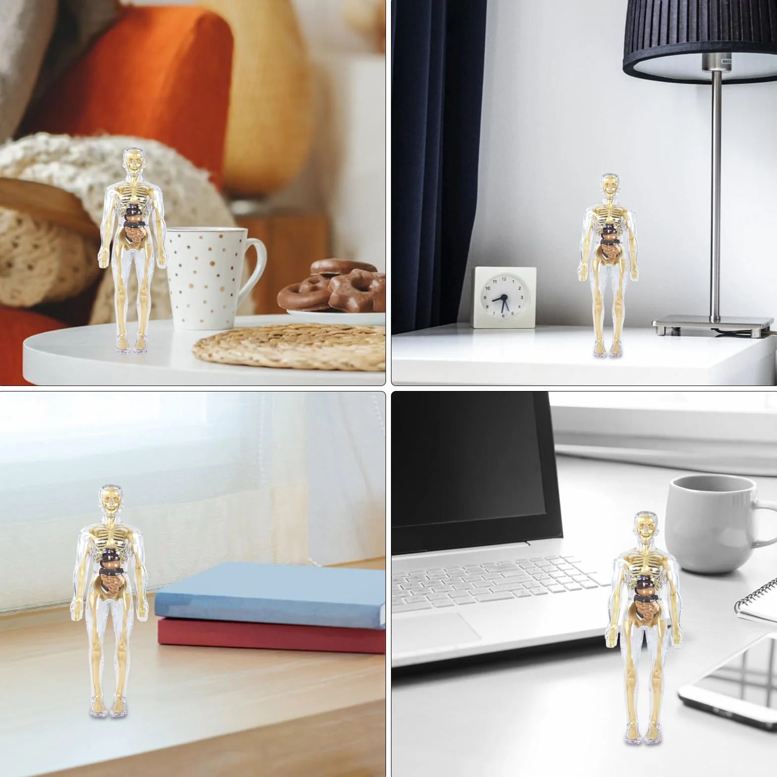 Model 3D ludzkiego ciała dla dzieci, model anatomiczny ciała, model anatomiczny, model szkieletu, model nauczania ludzkiego ciała, model szkieletu, model szkieletu ludzkiego