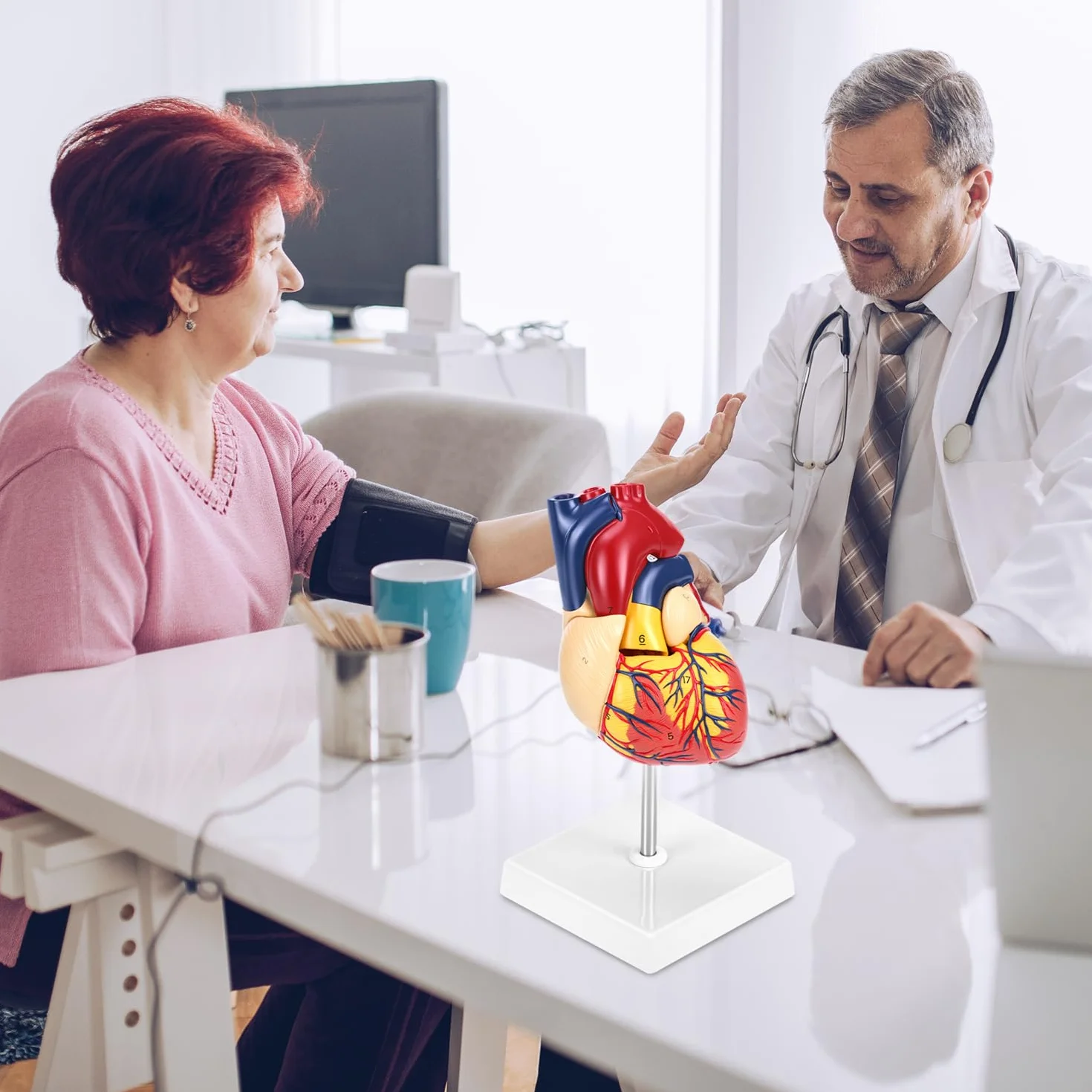 QWORK 2-częściowy model serca naturalnej wielkości z 34 oznaczeniami anatomicznymi